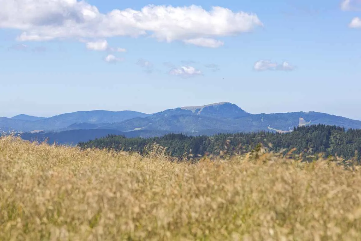 Feldberg & activités – Ferienhaus an der Haslach