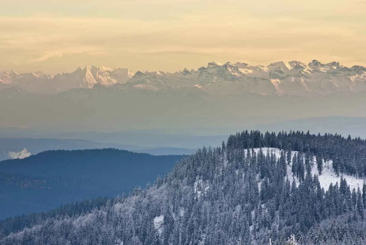 Feldberg & activités – Ferienhaus an der Haslach