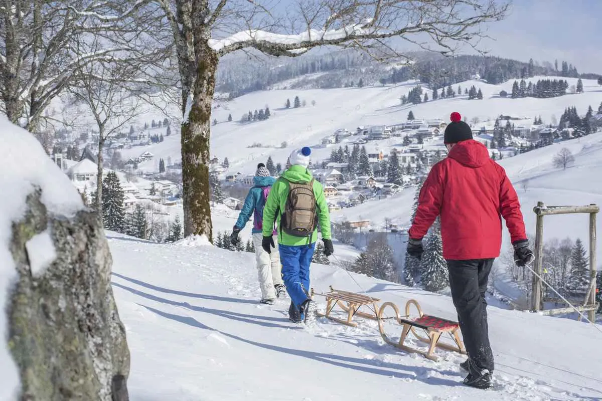 Feldberg & activités – Ferienhaus an der Haslach